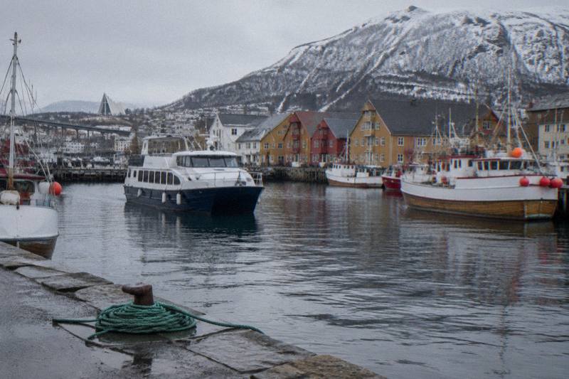 Half Day Arctic Fjord Cruise from Tromso