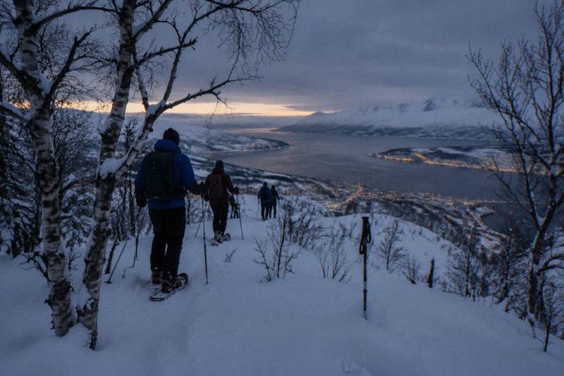 Tromsø Street to Wilderness: Guided Snowshoe Hike