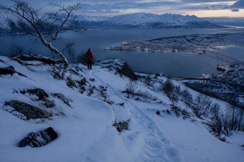 From Tromsø: Snowshoeing Hike with Picnic Lunch and Photos