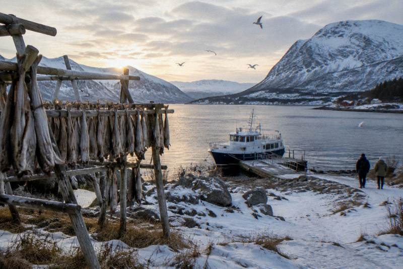 Tromsø: Arctic Fjord Cruise With Stop On Land At Fish Racks